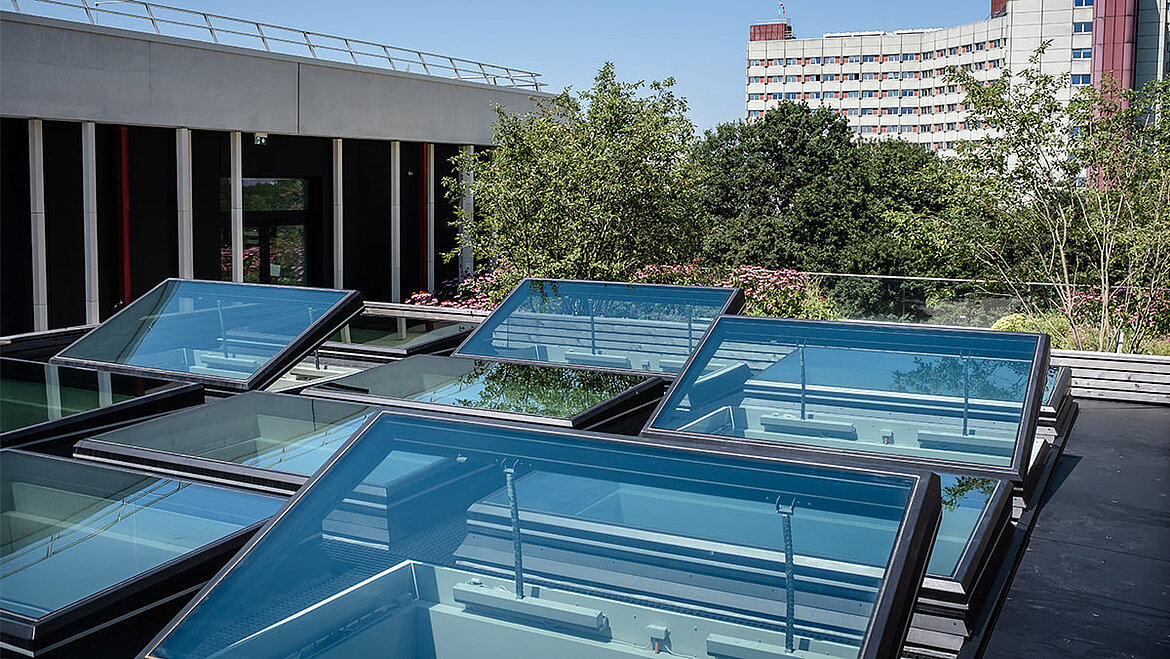 Mehrere Flachdach Fenster für maximalen Tageslichteinfall