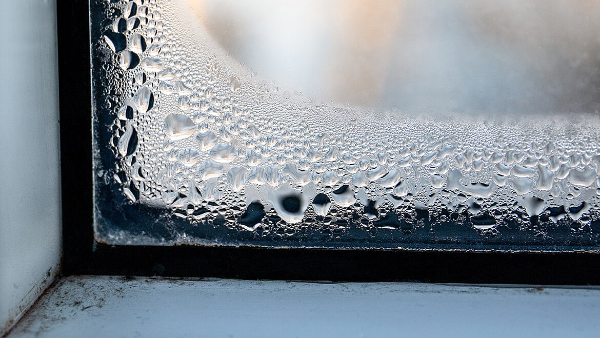 Condensation et moisissure sur la fenêtre Condensation et moisissure sur la fenêtre